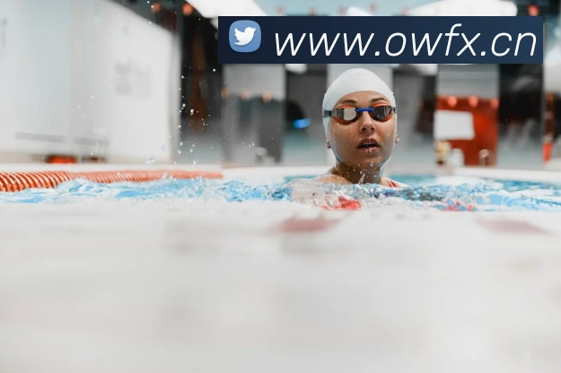 开云在线登录入口官网APP 体育赛事宣传图